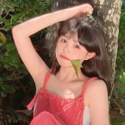 口袋妖怪虫虫版下载